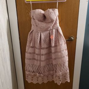 Mauvey Nude Lilac Lace Embroidered Dress